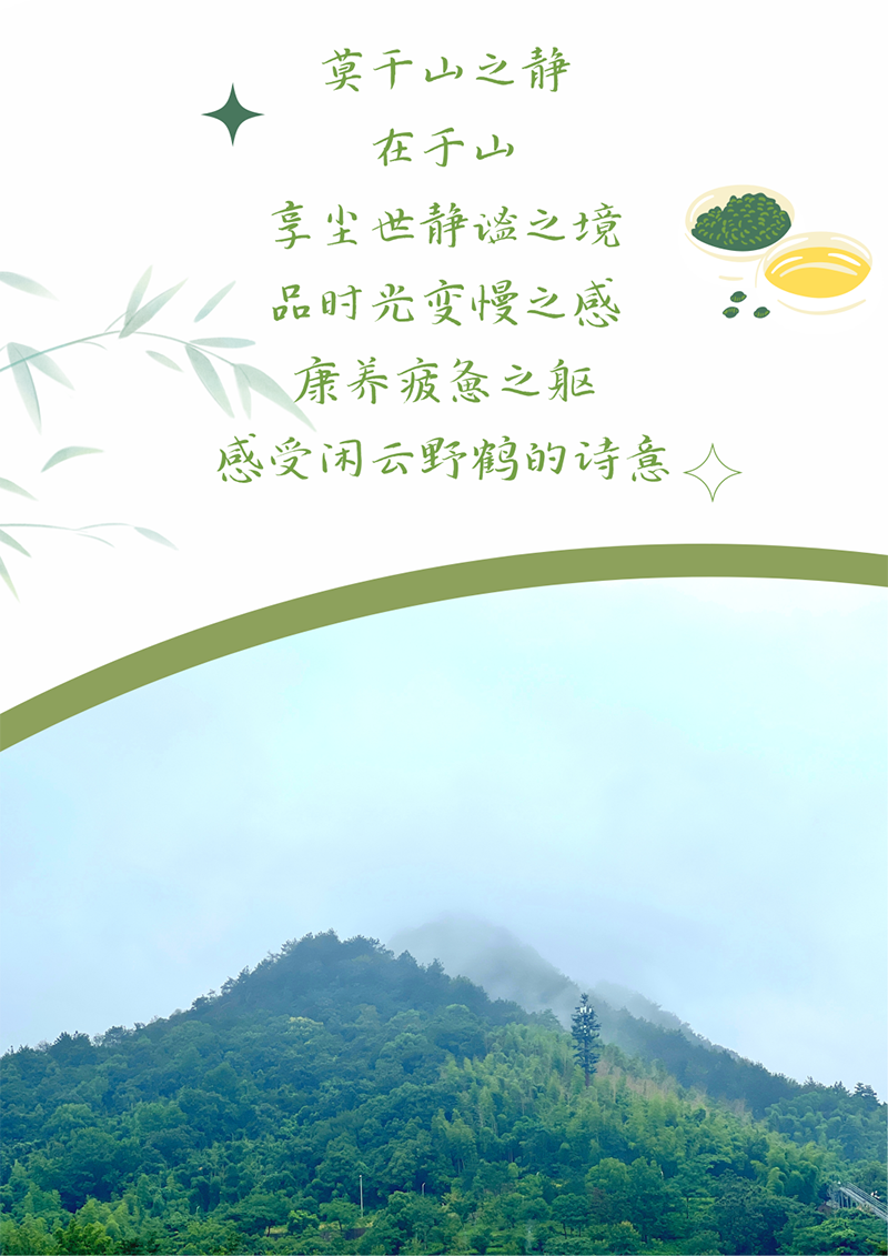 心心念廿 相伴奇发28官网 | 与德清相约 贺廿载诞辰