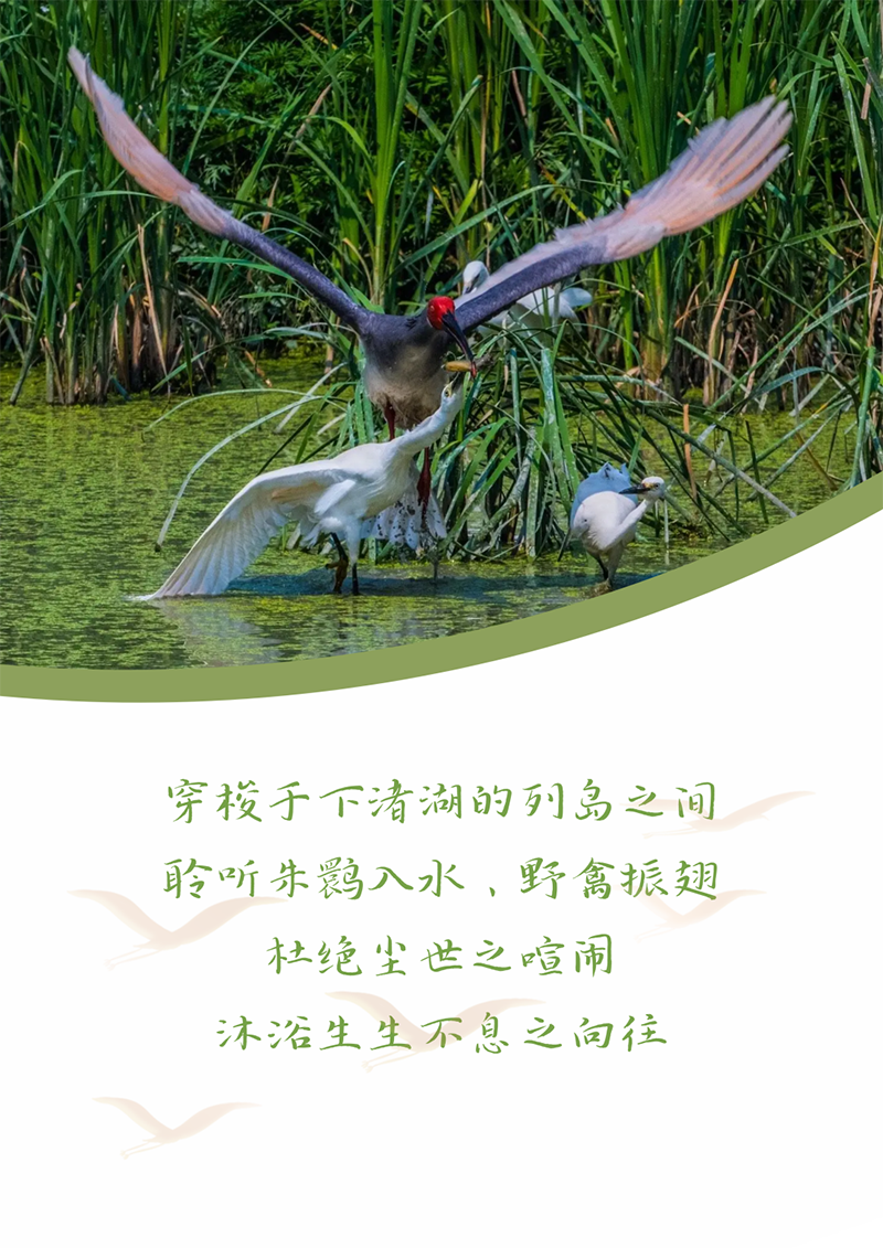 心心念廿 相伴奇发28官网 | 与德清相约 贺廿载诞辰